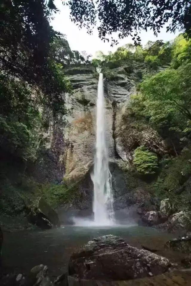 纳赫特韦拍摄的照片获得国际广泛关注,挽救了上百万人的生命